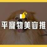 太平寵物美容推薦