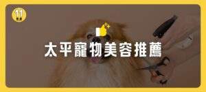 太平寵物美容推薦
