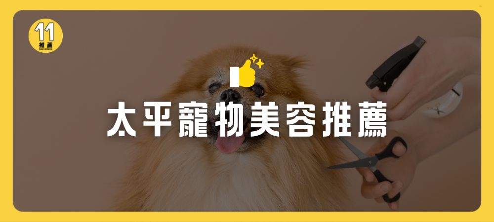 太平寵物美容推薦